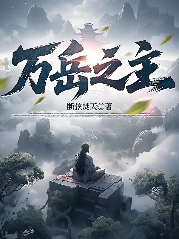 魂穿大汉之卫家天下