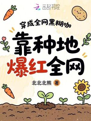 火影：这个鸣人不圣母