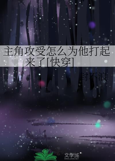 夏宝传Ⅲ