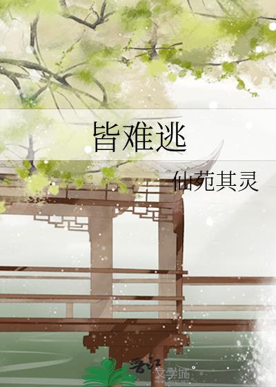在大启的奋斗日常