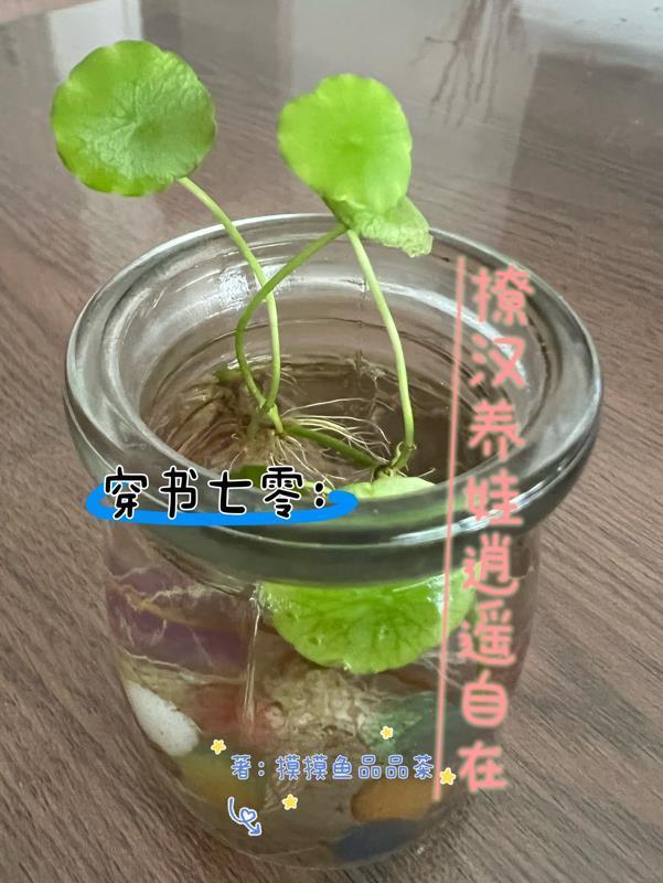 成为村长儿媳的支教妈妈