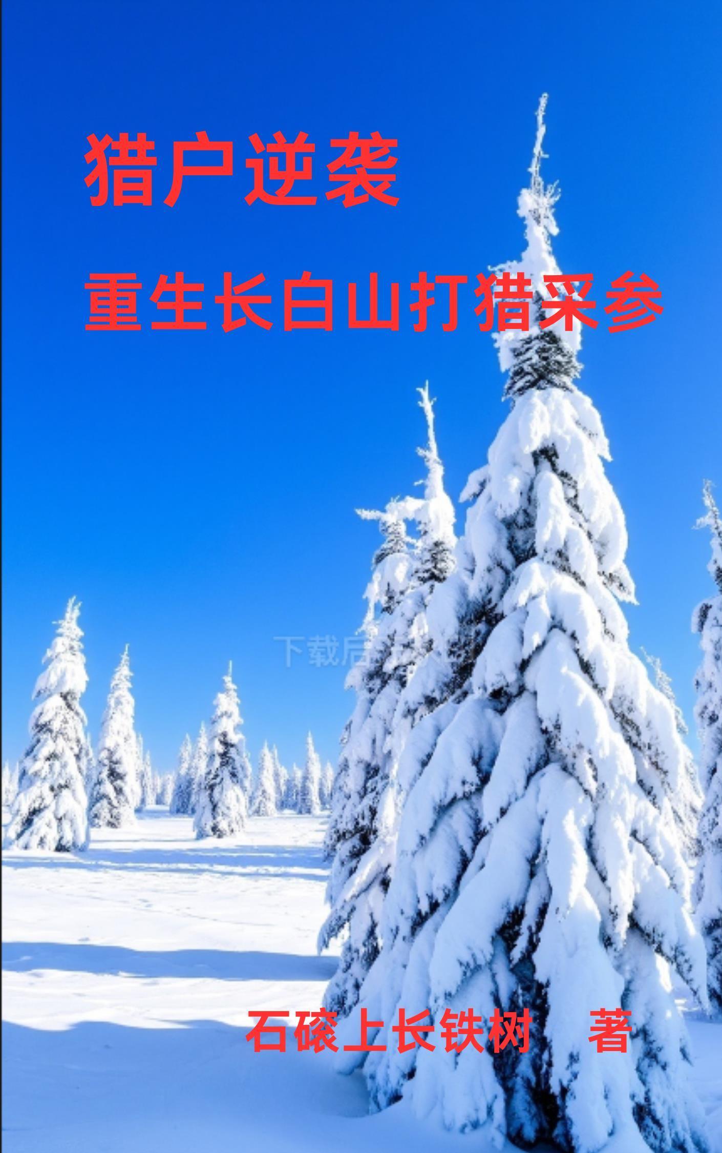 仙子操作指南