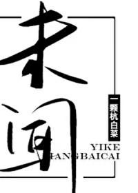 [综穿] 从成为红楼薛宝钗开始