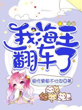 全职高手之天下无贼