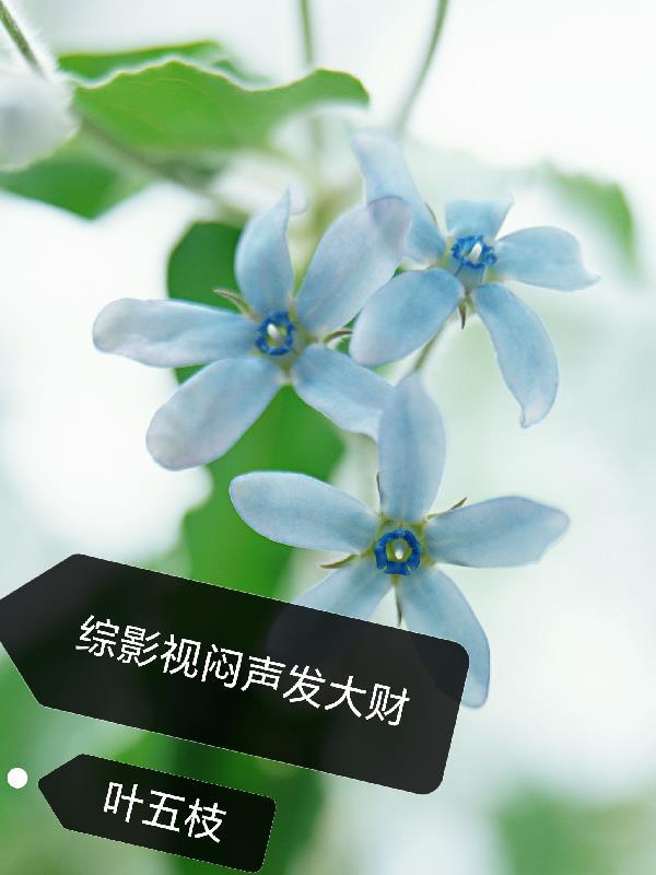 我靠着系统每日提示机缘,问道长