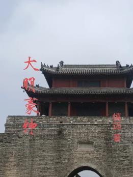 白月光她持手术刀归来