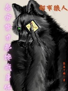 武术忍法帖