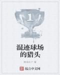 凰宫梦