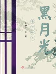 铁血大宋：靖安风云