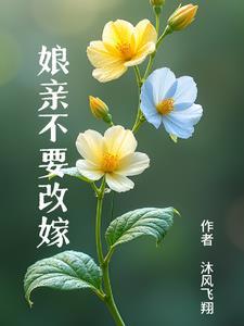奋斗在明末的边军小兵