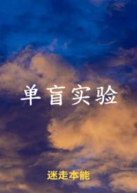 穿越慕容复,多子多福