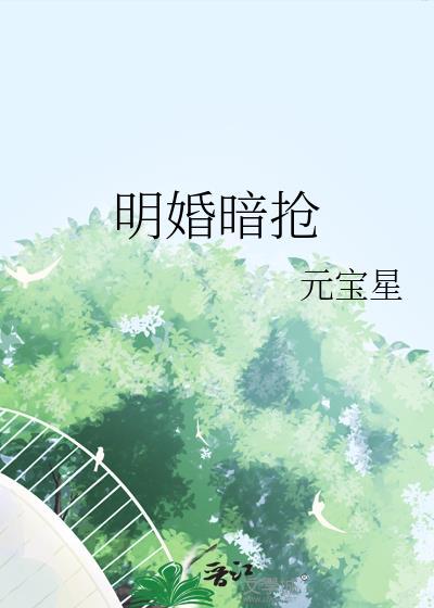 严总的秘密情人