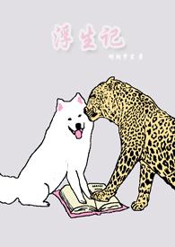 失恋女王