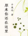 半是蜜糖半是伤