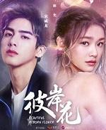 论联姻对象的整治与改造